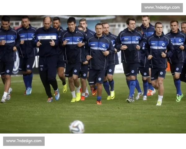 波黑对阵奥地利关键之战解析双方实力与出线前景赛前全面前瞻